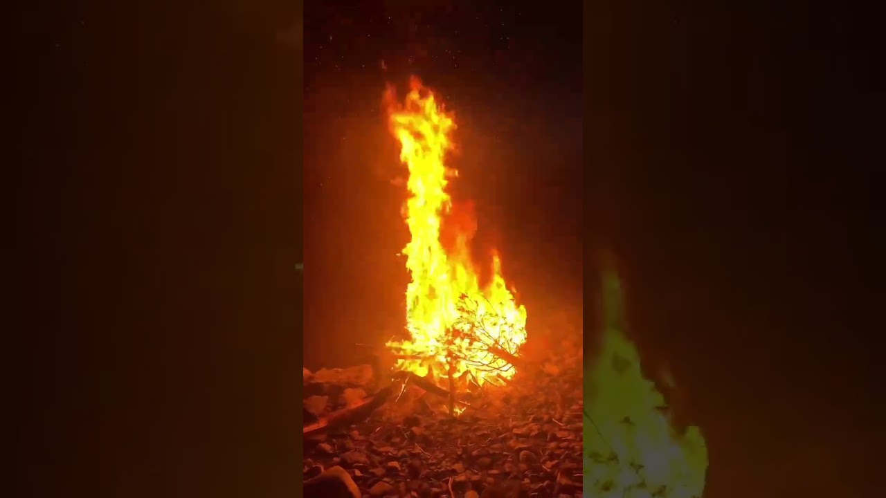 🎄🔥 We did our annual Christmas Tree burning tonight!