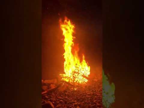 🎄🔥 We did our annual Christmas Tree burning tonight!
