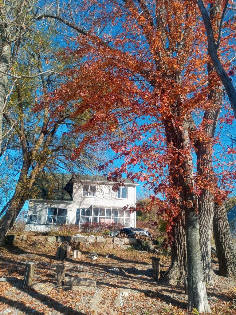 Fall at home in Alburgh, Vermont