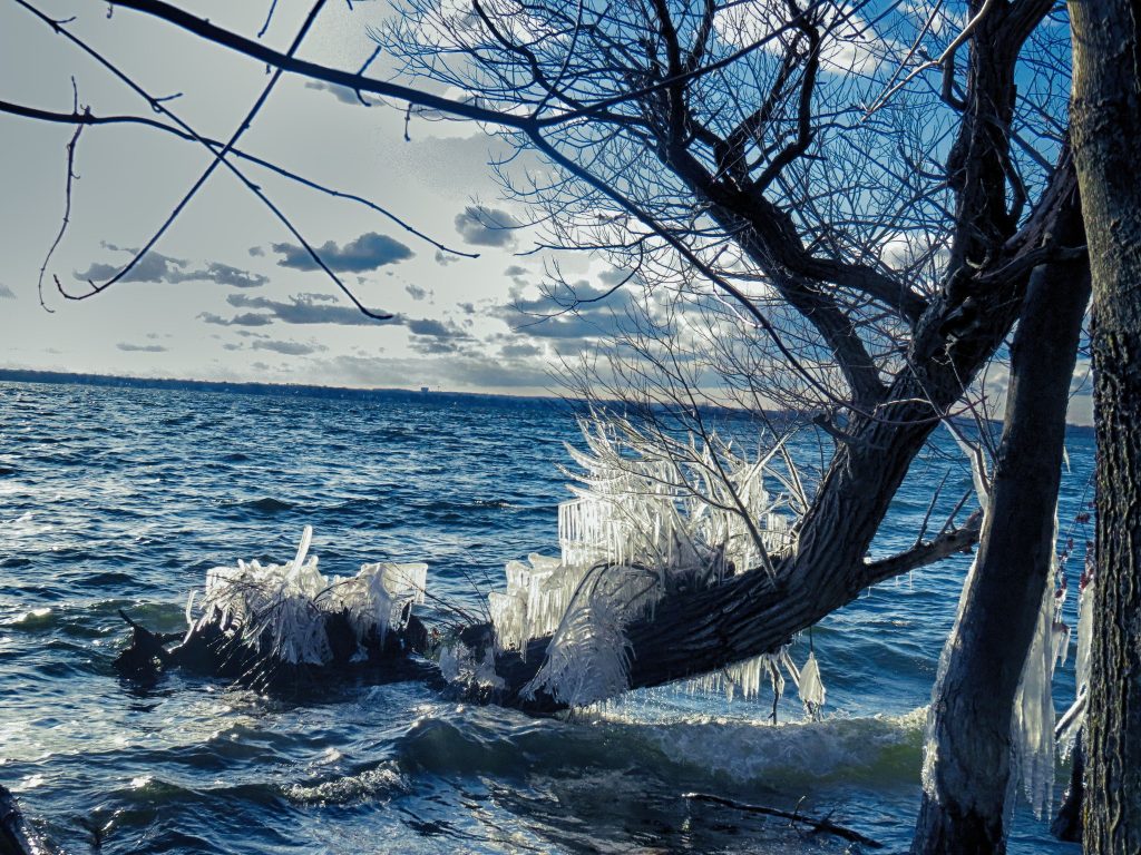 The lake's waves with the cold this morning made for some cool icicles.