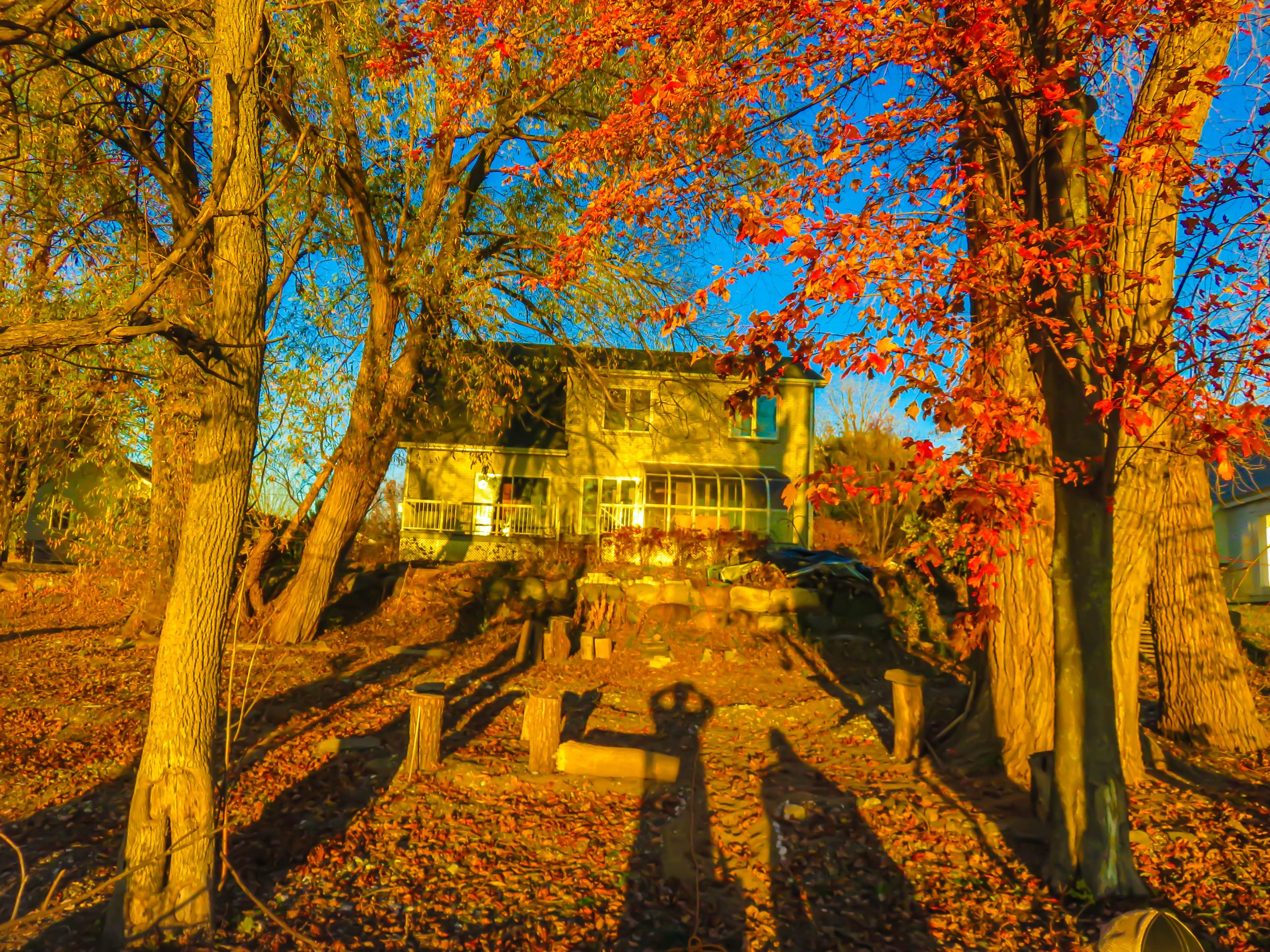 Fall is here