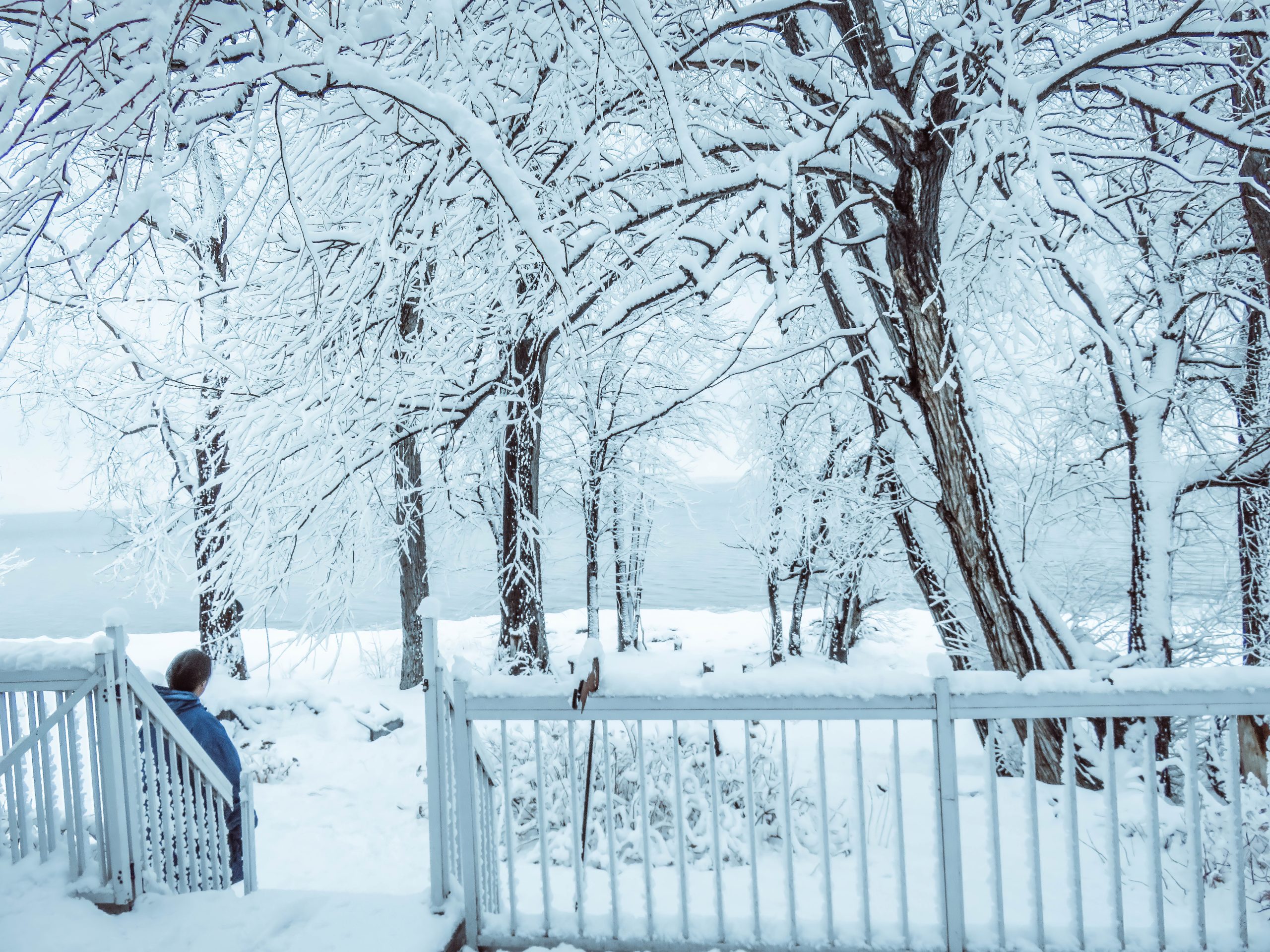Full cover snowfall!