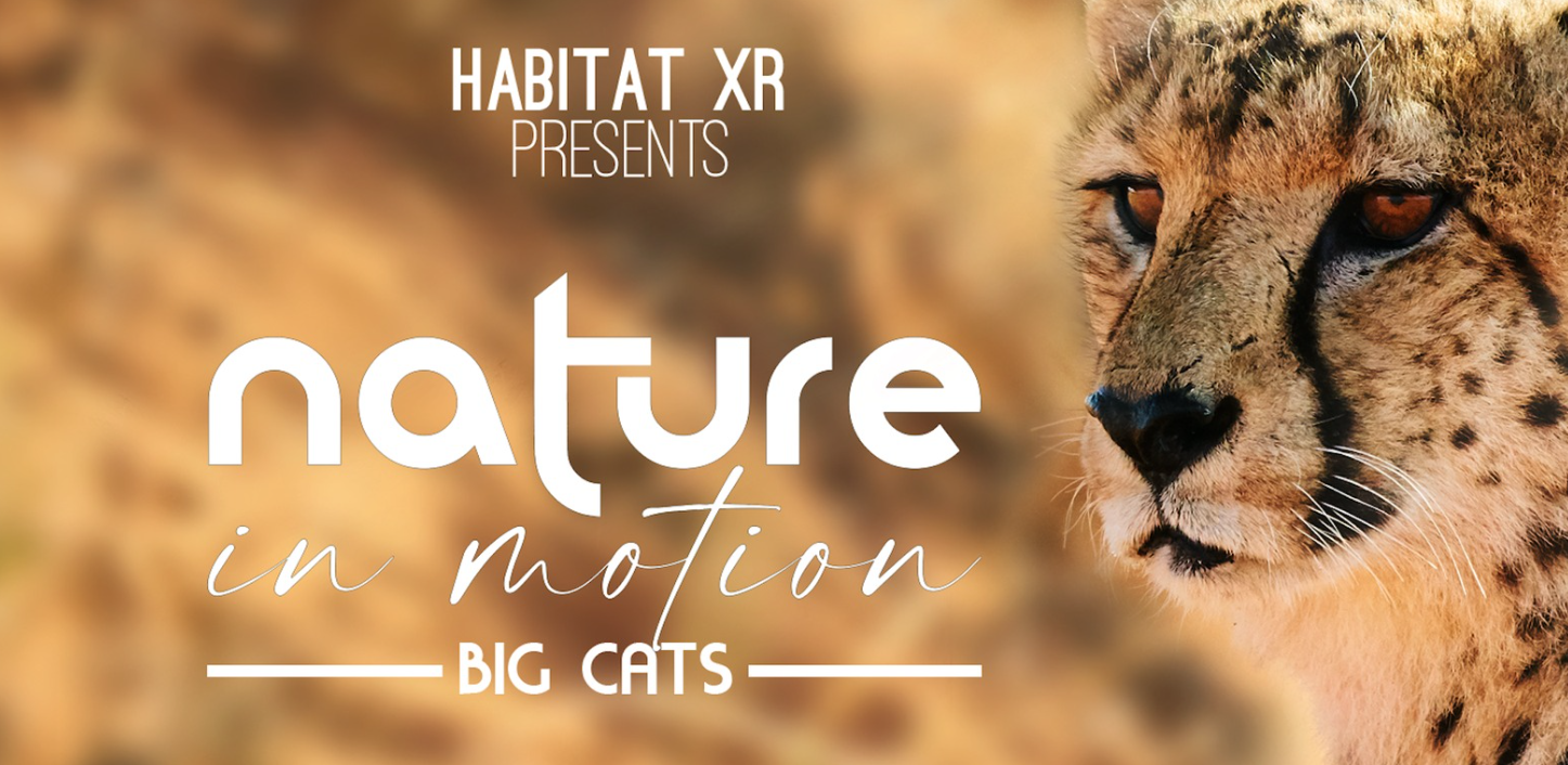 nature in motion big cats horizon worlds 20231204